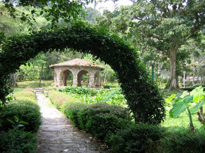 garden in the forest