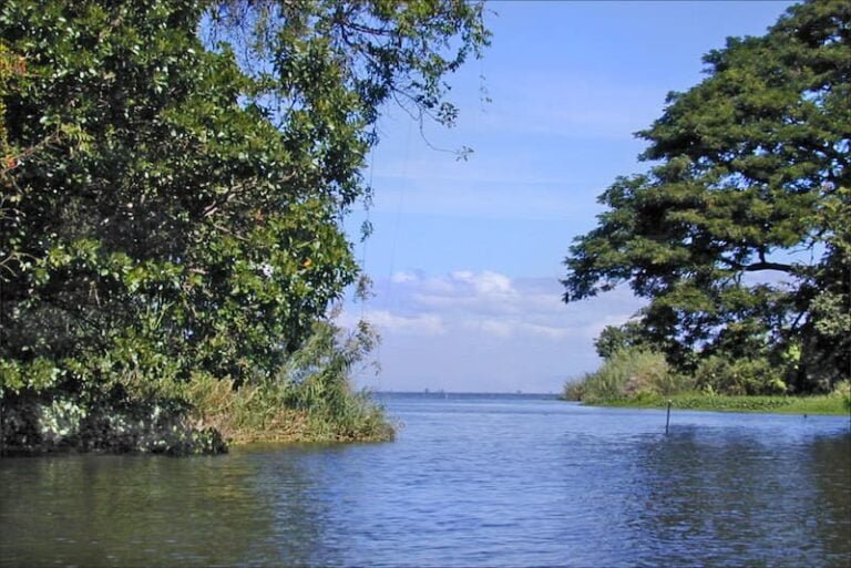 Tamarindo River Fishing