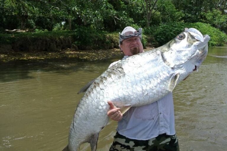 tarpon fishing in nicaragu
